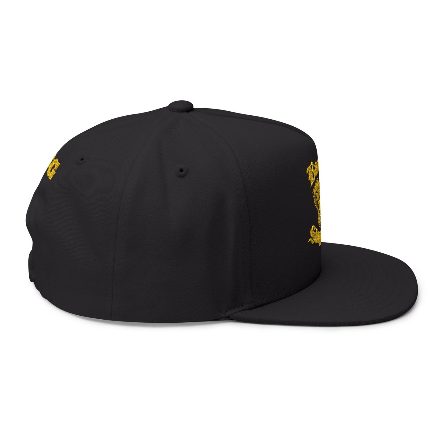 Twin cam hat.